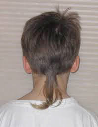 80s Rattail Hairstyle