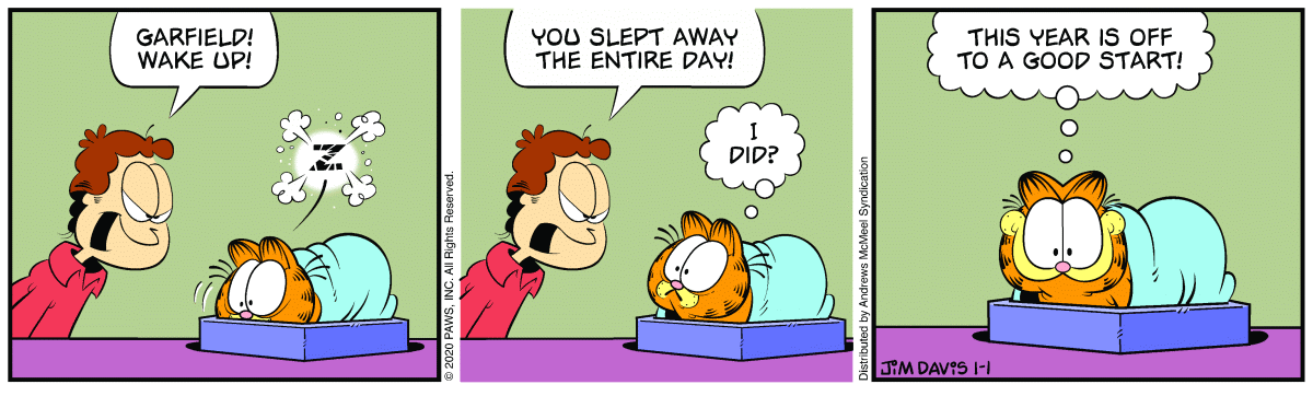 Garfield Comic Strip