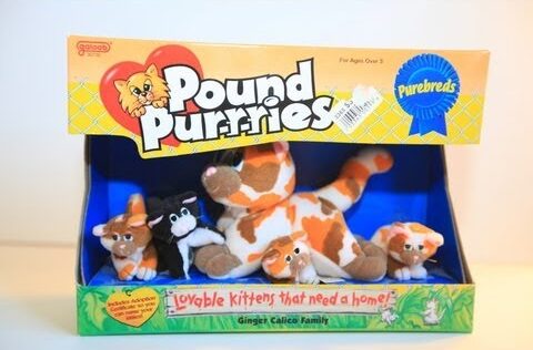Pound Purries